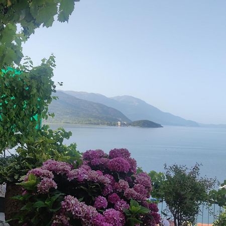 Villa Malezan Ohrid Exterior foto