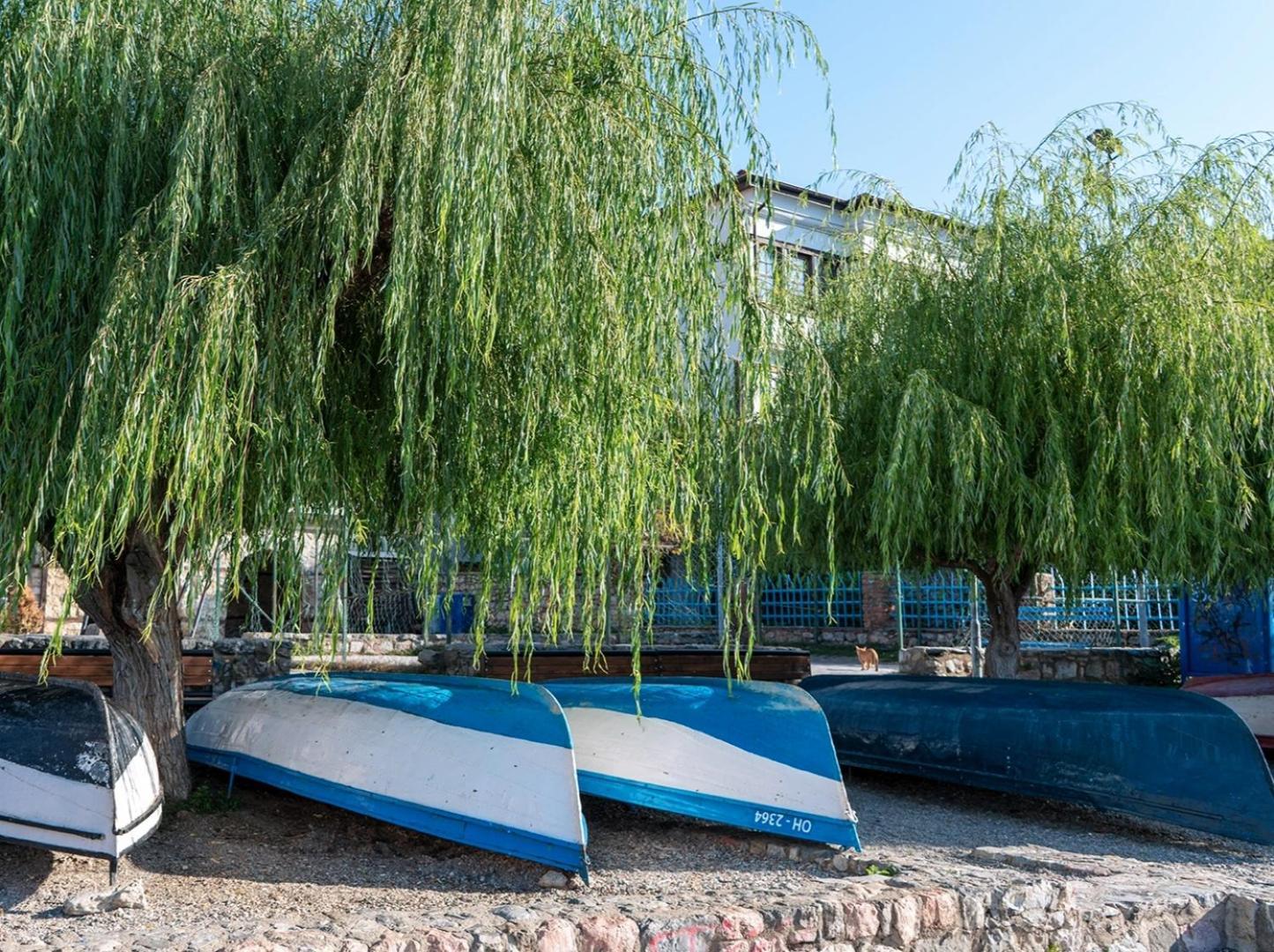 Villa Malezan Ohrid Exterior foto